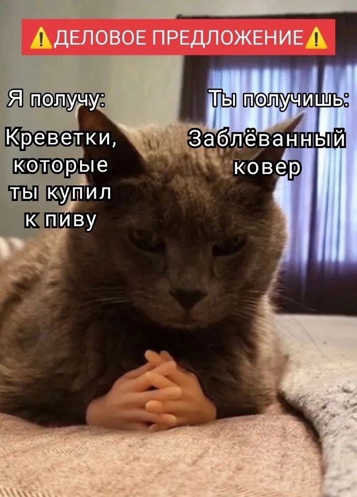 DantesDmitriy's tweet photo. https://t.co/O2aXWBURbC