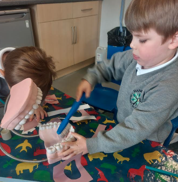 ManorParkSchSM1's tweet photo. Reception have been learning about the importance of keeping their teeth clean and their mouths healthy. The children have completed lots of fun activities to promote this.
#WeAreLEO #MPPApshe #MPPAatw https://t.co/UkzjsX8ADW