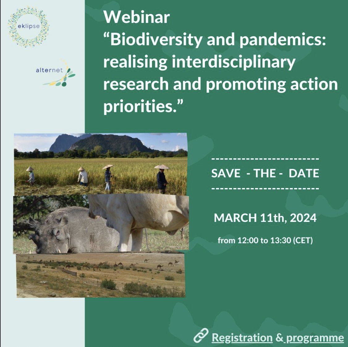 How can we better support #research and #policy on #biodiversity and #pandemics ? Come to our <a href="/Alternet_Europe/">Alternet</a> webinar to hear what our <a href="/Eklipse_europe/">Eklipse</a> Expert Working Group found!

Register here: lnkd.in/eRJyXJFR

#SciencePolicy #Conservation #OneHealth