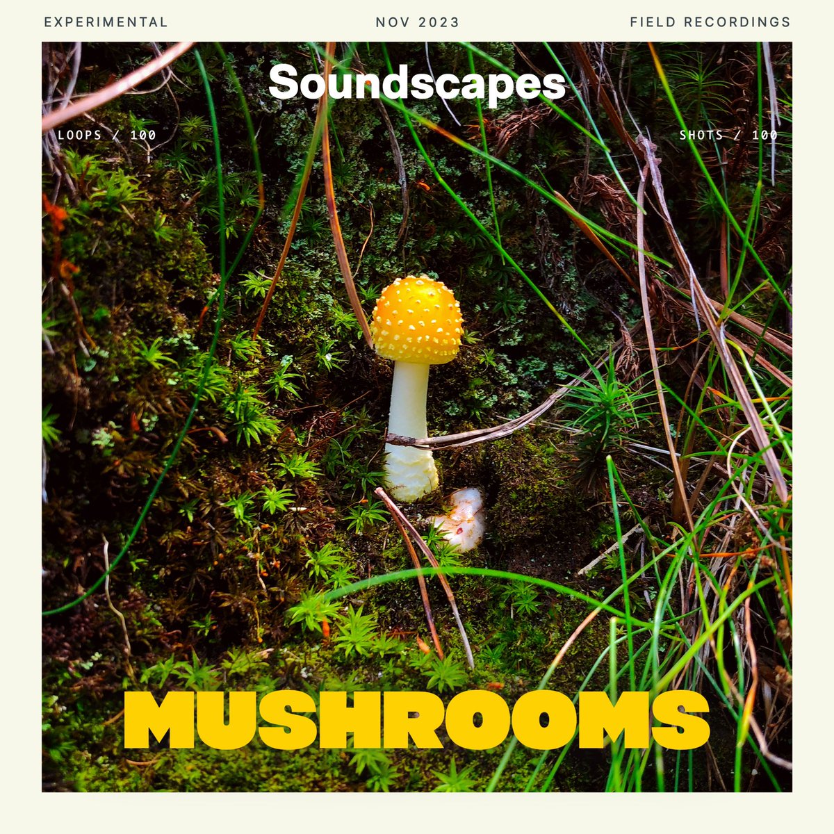 hollywaxwing's tweet image. New @splice pack with Galen Tipton 𓍊𓋼𓆏𓋼𓍊 It’s a synesthestic pack that attempts to transcribes mushrooms’ visual and textural properties into sound :^} 

splice.com/sounds/packs/s…