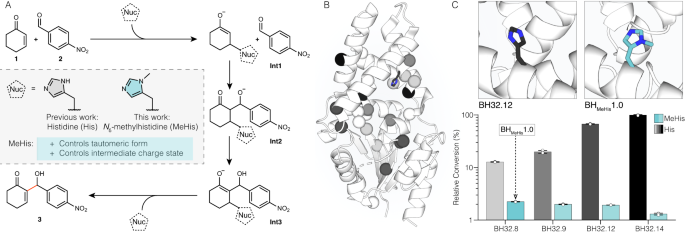 A non-canonical nucleophile unlocks a new mechanistic pathway in a designed enzyme nature.com/articles/s4146…