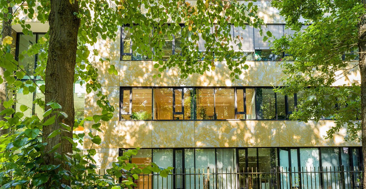 🚨Job alert!🚨 The Max Planck Institute for Psycholinguistics is looking for a Research Coordinator to support the Managing Director. More info and to apply: mpi.nl/career-educati…