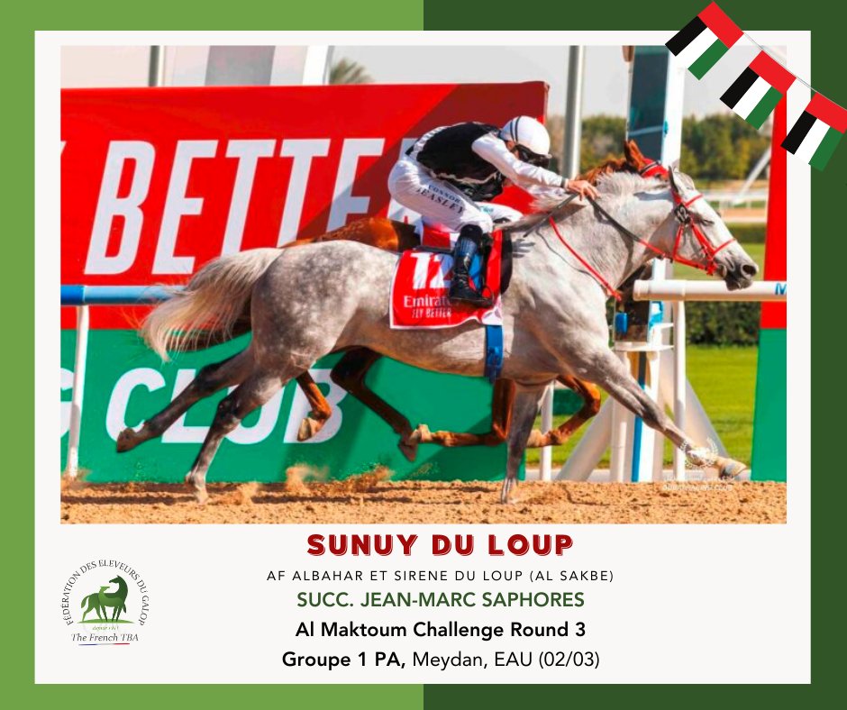 🇦🇪 SUNY DU LOUP, fils d' #AfAlbahar, s'est imposé après une belle lutte dans l'Al Maktoum Challenge Round 3, Groupe 1 PA sur l'hippodrome de Meydan, EAU (02/03). Félicitations à son éleveur la succ. Jean-Marc Saphores et à tout son entourage 💯 #VivelElevageFrançais