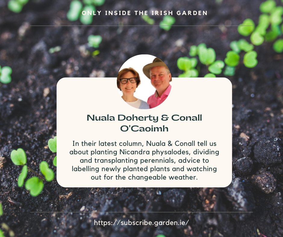 For these and lots more top tips and checks for your garden read Nuala & Conall's column in our Spring Issue, on shelves now. Or subscribe and get SIX free packets of Unwin seeds 👉 eu1.hubs.ly/H07W3Lr0