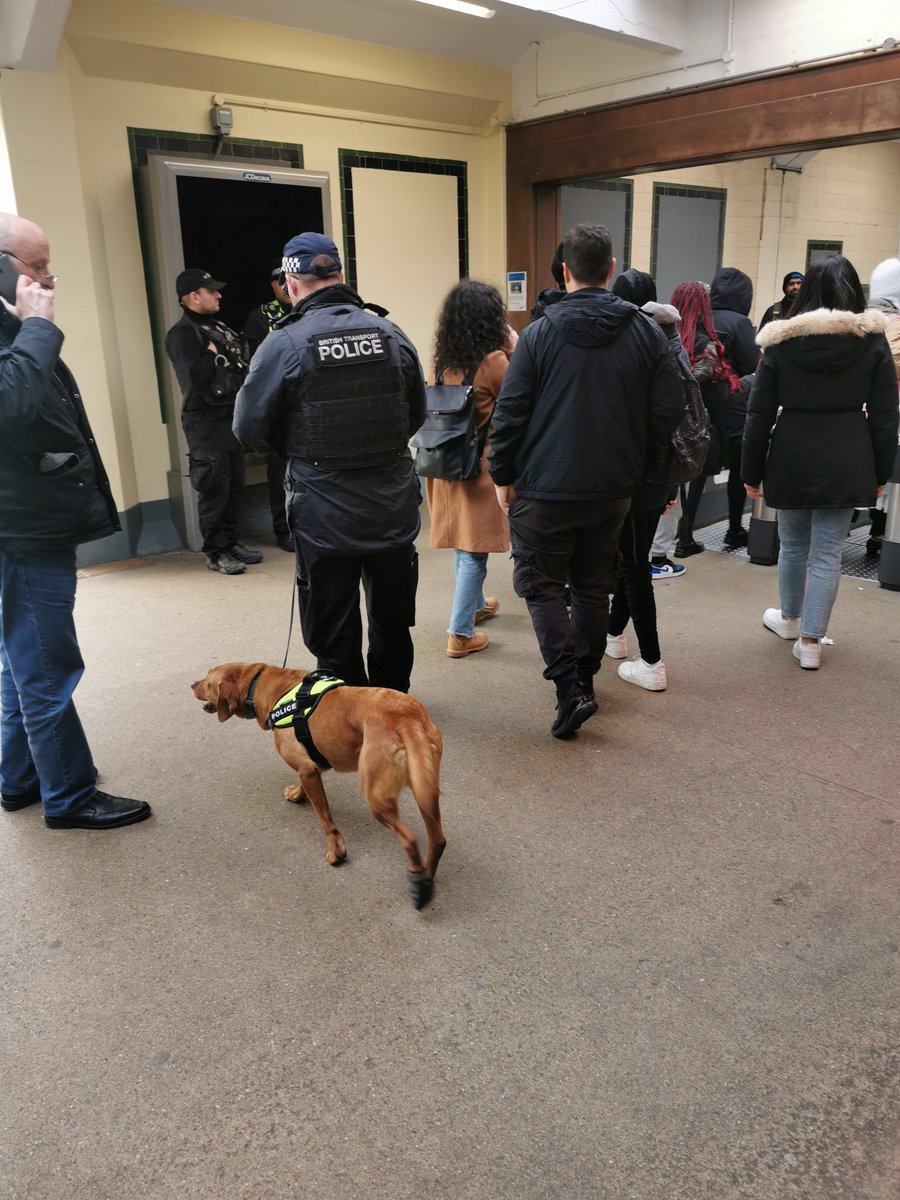 We've been working alongside @BTP today at Surbiton station to tackle drug and knife crime in and around transport hubs. Drugs were seized, a successful operation by all😊 @MPSBerrylands @MPSTolworth @MPSSurbitonHill