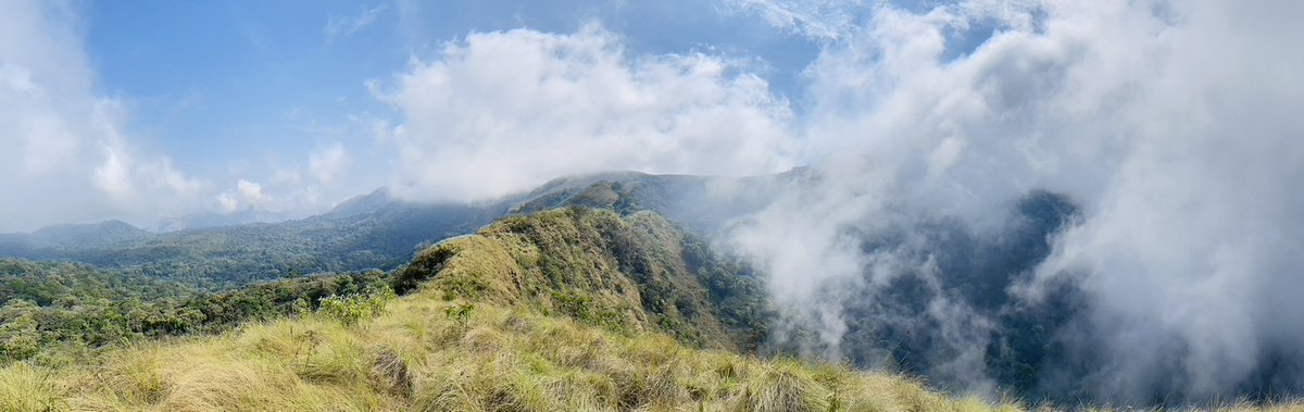 📣Important new article: Tropical field stations yield high conservation return on investment 🐒
conbio.onlinelibrary.wiley.com/doi/10.1111/co…

Photo: Chimpanzee field station in the Nimba Mountains, Guinea <a href="/APE_Group_UZH/">Ape Behaviour & Ecology Group</a> <a href="/UZH_Science/">UZH Science</a>