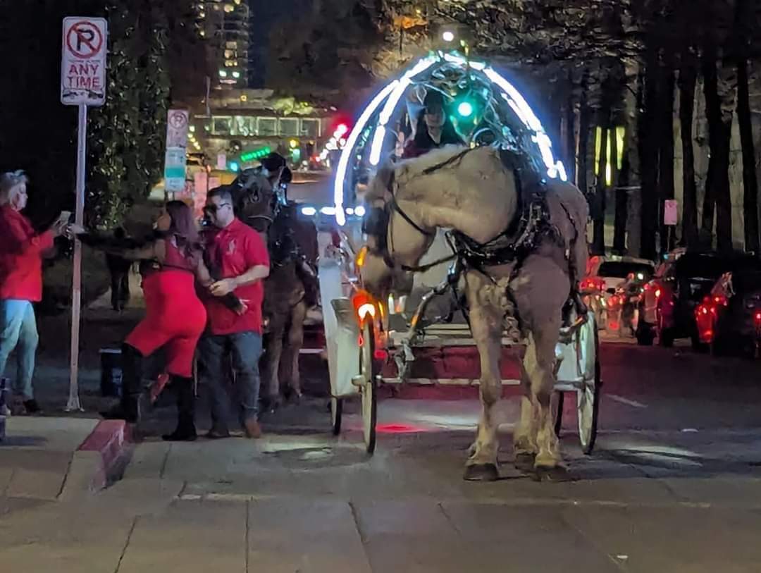 graquelcarbajal's tweet photo. Please share X
@CityofDallasD14
@ridleyfordallas
@DallasMayor
@Johnson4Dallas
#dallastexas please stand up - for the progressive city it would like to be known as #banhorsecarriagesdallas
#HumaneTourism #HumaneLegislation
Horses do not belong on streets.
@BanHorseCariage
@wfaa https://t.co/cMMeuwF8a5