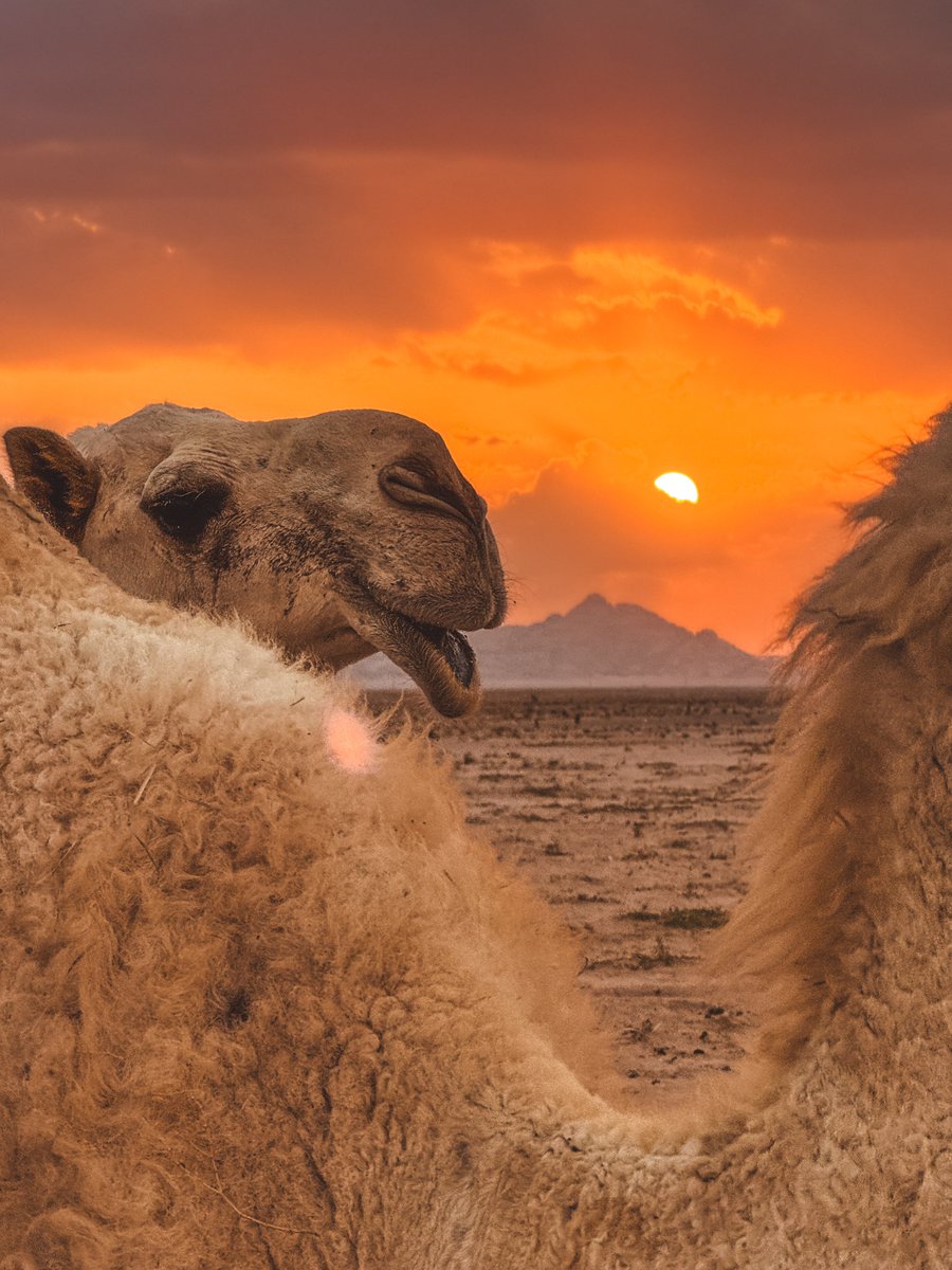 أجمل الأشياء في التفاصيل الصغيرة. 

#تصويري