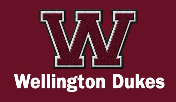 Wellington's Brooke Lehmkuhl named Northeast Lakes Division III All-District first team.🏀

<a href="/WEVSD_sports/">Wellington Sports</a> <a href="/MJournalSports/">Morning Journal Sports</a>