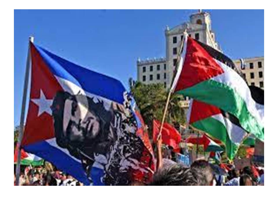 cifelixb1's tweet photo. Exclamamos el cese de la guerra a Palestina que ya más de 21 000 personas han perdido la vida. ¡No a la guerra! ¡Los Palestinos tienen derecho a vivir en paz! #CubaMined.#dpestgo.#dmestgo.#RaulSamon.#sureysiFrometa.#LimontaPerez.#niurdisreyes. https://t.co/dHLWjGTF4q