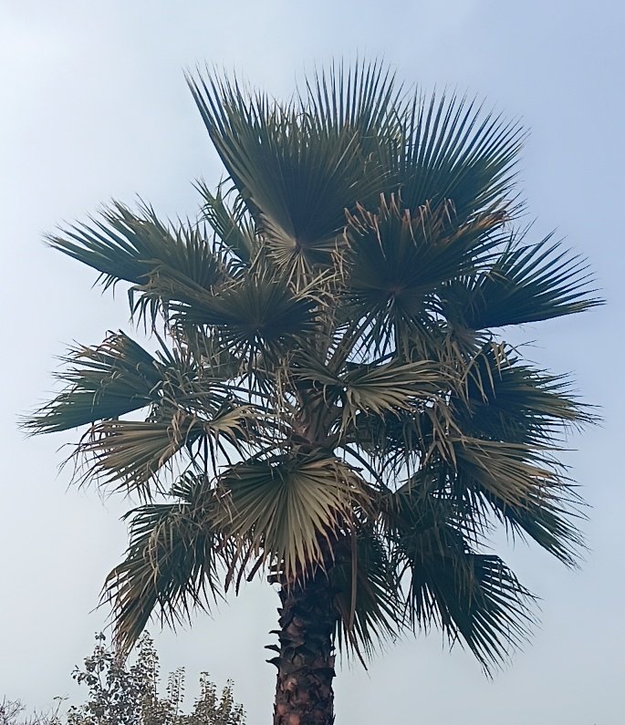 Manisha57611364's tweet image. Nature is the most beautiful thing
#WonderfulNature