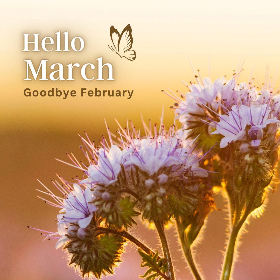 As we bid farewell to winter, let's embrace the warmth & beauty of springtime creeping closer.  Let the blooming flowers and chirping birds fill our hearts with joy.  Who else is excited for this delightful season? Share your springtime plans below!  #HelloMarch #SpringIsComing