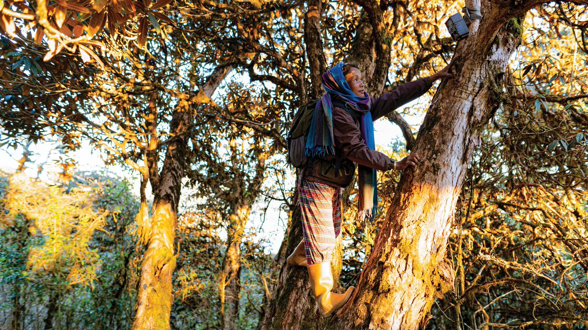 Happy World Wildlife Day 2024 🌍🥳

This year's theme is "Connecting people and planet: exploring digital innovation in wildlife conservation" 🧐💻

Here at RPN, we are proud to be innovators, incorporating technology into our conservation work 😎

Not only did we conduct the