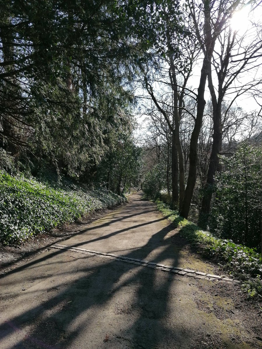 🌞What a fabulous day for walking along the riverbanks, we've been out with our camera enjoying the sunshine! 📷Not sure which route to take? Our Visitor Centre (in Palace Green Library) has ideas including info about The Northern Saints Trails & Durham City Heritage Trail.