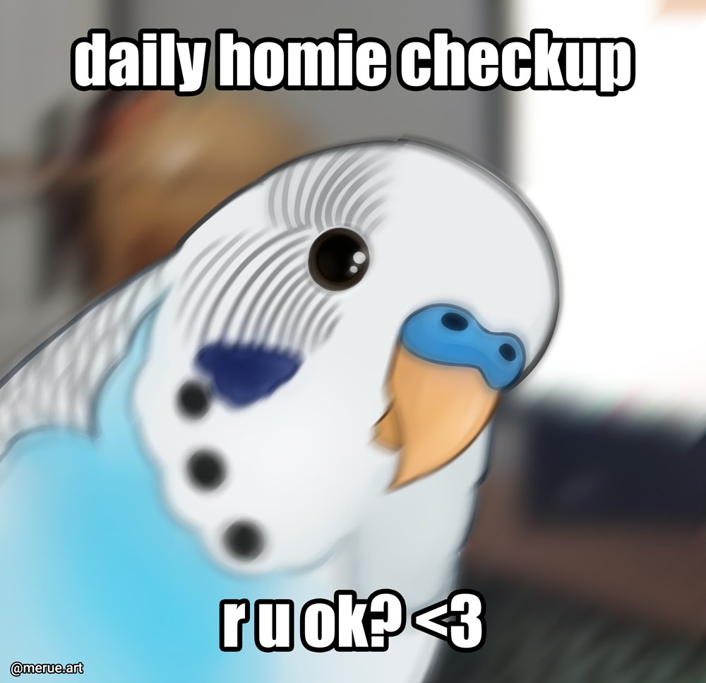 hope you are all doing well ❤❤