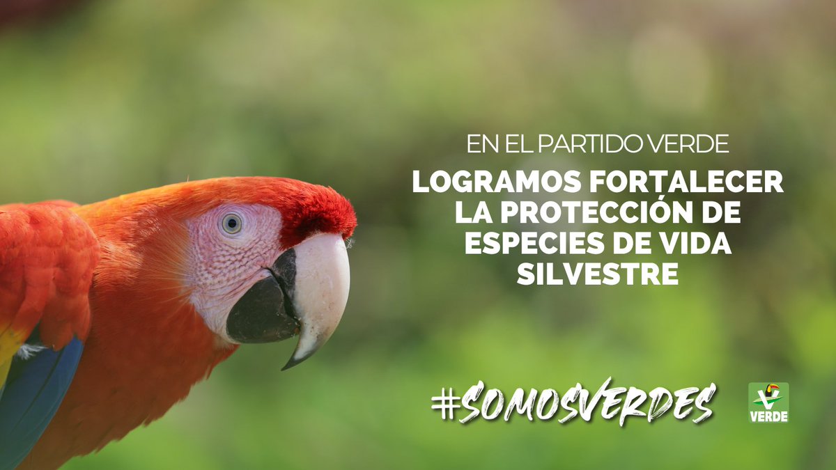 Diputados Verdes tweet media