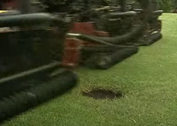 Connor Dickson tweet media