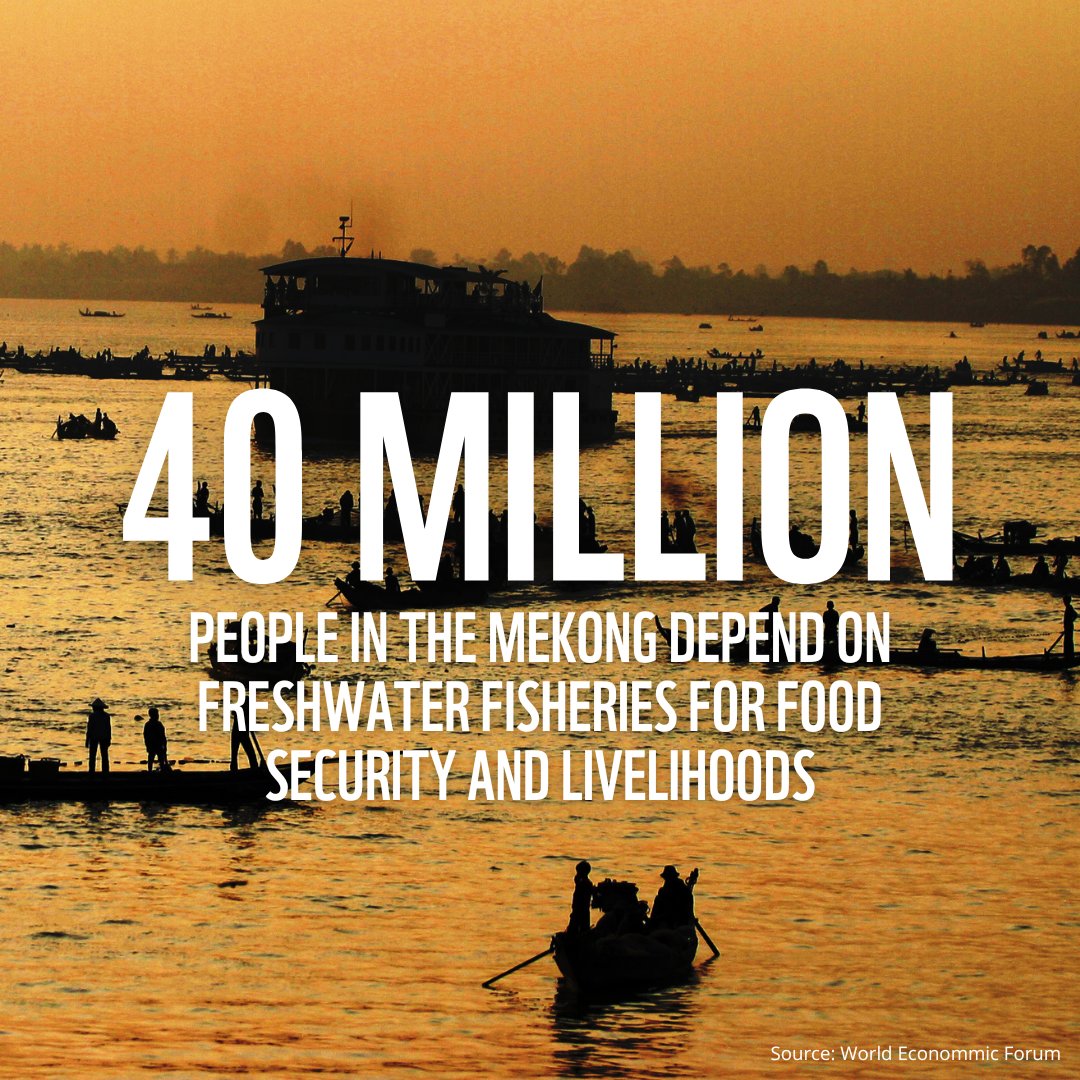 The world's largest inland fishery is at threat. The fishery is priceless, providing food security and livelihoods for over 40 million people, but at threat from dams, land use change and sand mining. Mekong Forgotten Fishes report states urgent actions:   asiapacific.panda.org/?366335/Asias-…