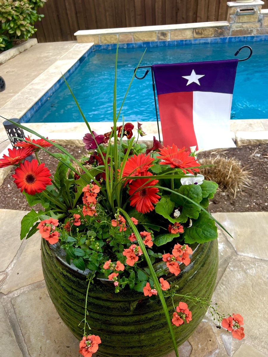 Fun day celebrating Texas Independence on our patio! Lori & Ryan brought fixings for a Bloody Mary Bar, and delicious Brisket Tacos 🌮! Yes I know it is too early to plant flowers 🌺 on the 1st of March, but it was 81-F! A LOT of fun laughter and stories with these great