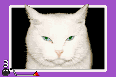 Pixel Animals tweet media