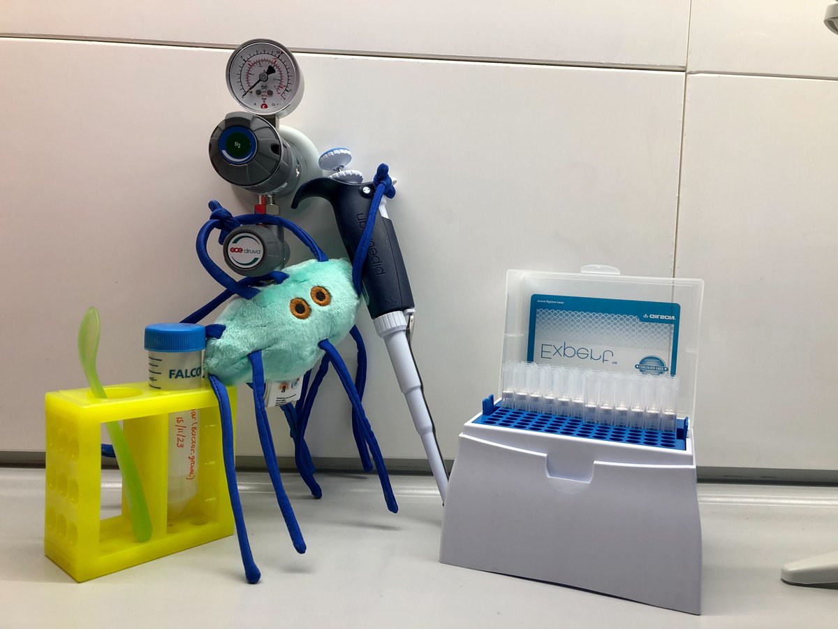 Vitor Heidrich (@v_heidrich) on Twitter photo <a href="/cibiocm/">Segata Lab</a> <a href="/nsegata/">Nicola Segata</a> Ca. Cibionibacter quicibialis working hard to uncover the unknowns in the human microbiome! 📸 <a href="/RobertaMarconi9/">Roberta Marconi</a> <a href="/cibiocm/">Segata Lab</a> <a href="/nsegata/">Nicola Segata</a> Ca. Cibionibacter quicibialis working hard to uncover the unknowns in the human microbiome! 📸 <a href="/RobertaMarconi9/">Roberta Marconi</a>