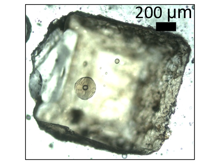 Congratulations to @euanjfmutch for his beautiful paper about 3D diffusion of water in olivine, out today in G-cubed! @umdgeology 🌋 agupubs.onlinelibrary.wiley.com/doi/10.1029/20…