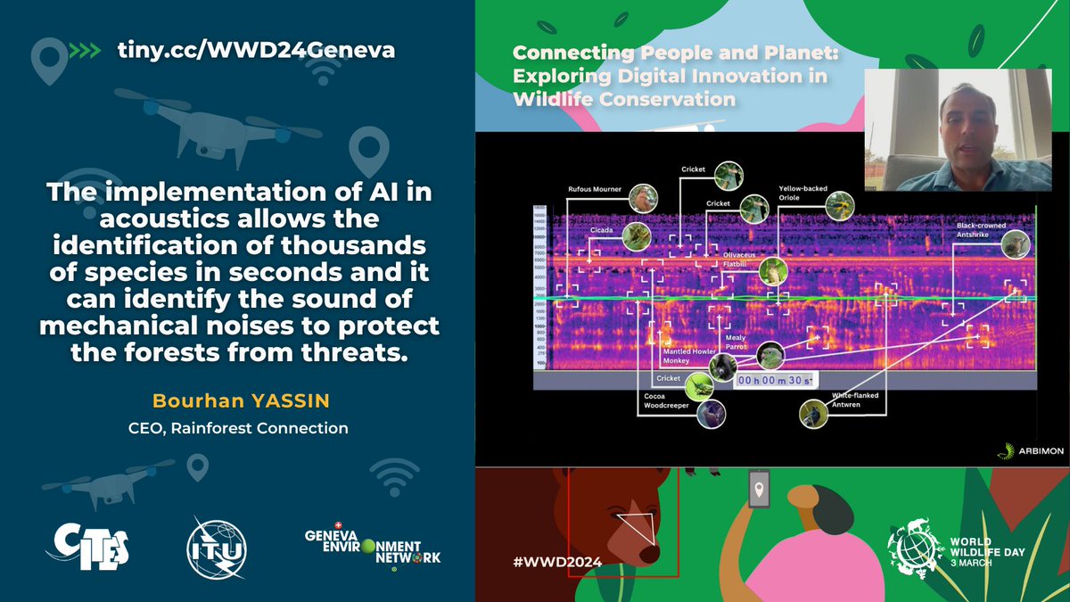 GENeva Environment Network (@genetwork) on Twitter photo <a href="/ITUSecGen/">Doreen Bogdan-Martin</a> <a href="/ITU/">Int’l Telecommunication Union</a> <a href="/usmissiongeneva/">U.S. Mission Geneva</a> <a href="/CITES/">CITES</a> <a href="/BLV_OSAV_USAV/">BLV - OSAV - USAV</a> <a href="/IUCN/">IUCN</a> <a href="/UNCTAD/">UN Trade and Development</a> <a href="/asycuda_unctad/">asycuda@unctad</a> <a href="/Orange_Csltg/">Orange Consulting</a> <a href="/GI_TOC/">Global Initiative</a> <a href="/simonehaysom/">Simone Haysom</a> <a href="/WILDLABSNET/">WILDLABS Community</a> <a href="/Connected_Cons/">Connected Conservation Foundation</a> Bourhan Yassin of <a href="/RainforestCx/">Rainforest Connection</a> presents tools that implement #AI in acoustics, that can identify not only species through sounds in a 30-second recording but as well as instances of logging -- helping in #WildlifeConservation. <a href="/ITUSecGen/">Doreen Bogdan-Martin</a> <a href="/ITU/">Int’l Telecommunication Union</a> <a href="/usmissiongeneva/">U.S. Mission Geneva</a> <a href="/CITES/">CITES</a> <a href="/BLV_OSAV_USAV/">BLV - OSAV - USAV</a> <a href="/IUCN/">IUCN</a> <a href="/UNCTAD/">UN Trade and Development</a> <a href="/asycuda_unctad/">asycuda@unctad</a> <a href="/Orange_Csltg/">Orange Consulting</a> <a href="/GI_TOC/">Global Initiative</a> <a href="/simonehaysom/">Simone Haysom</a> <a href="/WILDLABSNET/">WILDLABS Community</a> <a href="/Connected_Cons/">Connected Conservation Foundation</a> Bourhan Yassin of <a href="/RainforestCx/">Rainforest Connection</a> presents tools that implement #AI in acoustics, that can identify not only species through sounds in a 30-second recording but as well as instances of logging -- helping in #WildlifeConservation.