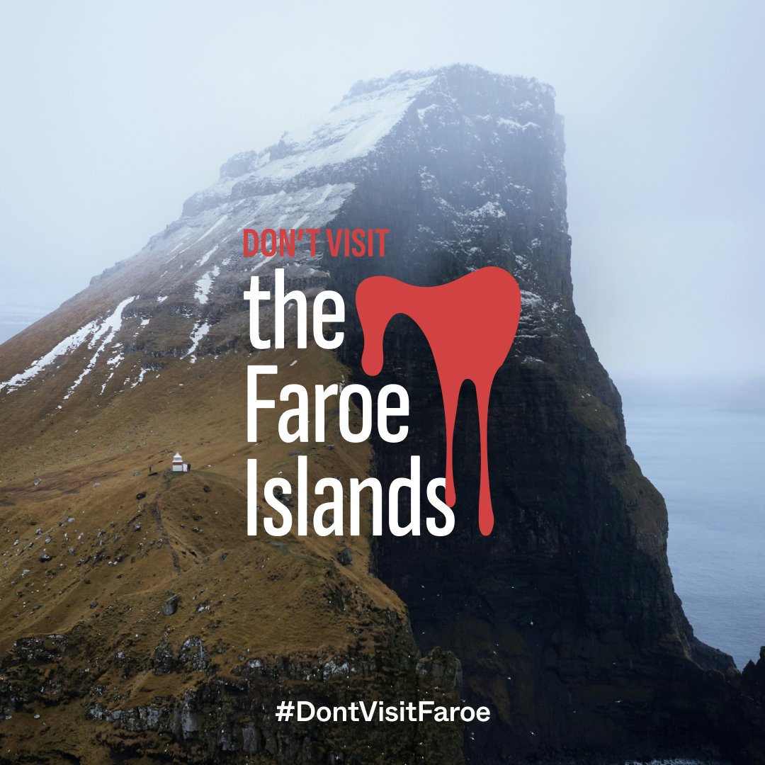 #DontVisitFaroe to put pressure on the Faroese government to ban the Grindadráp - a hunting practice that involves cornering entire pods of whales or dolphins into shallow bays to be killed. 

If you want to help - sign the petition and share this post (link in bio)