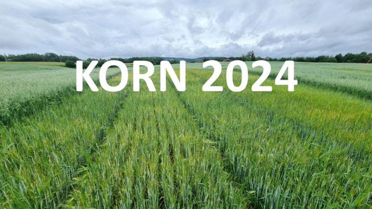 PREPSOIL partner @NIBIO_no will be in the following 2 days at the KORN 2024 event, in 🇳🇴 to network with #soil #researchers advisors, companies & #farmers to identify new #Sustainablesoil Communities of Practice to be listed in the PREPSOIL catalogue prepsoil.eu/events/korn-20…