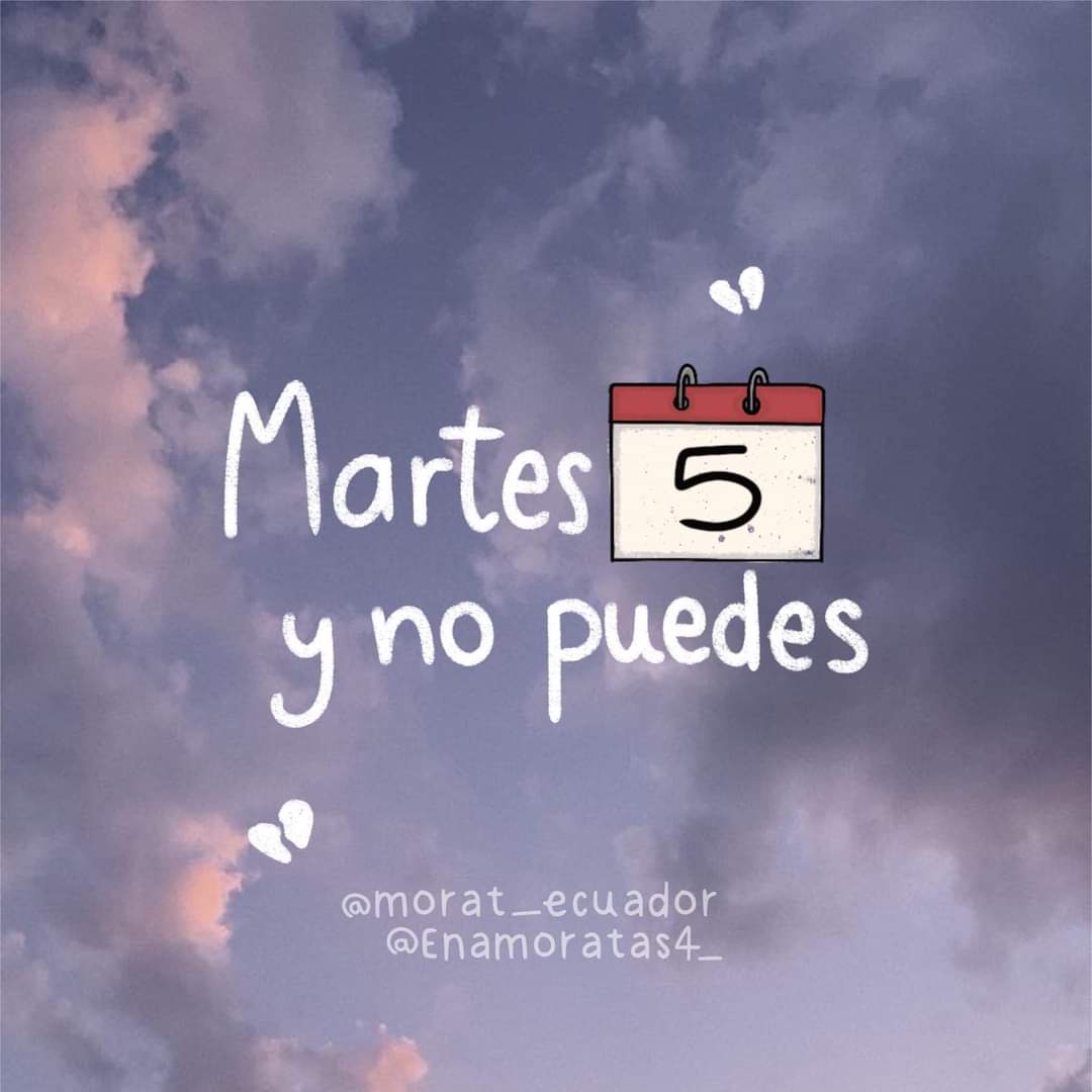 morat_ecuador's tweet photo. Oficialmente estamos en la semana "Yo Más Te Adoro" ✨️🫶🏻 https://t.co/S4JbDwCtmT