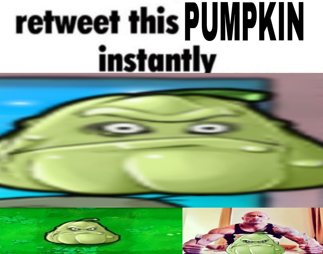 The Angry Pumpkin (@tehangrypumpkin) on Twitter photo 