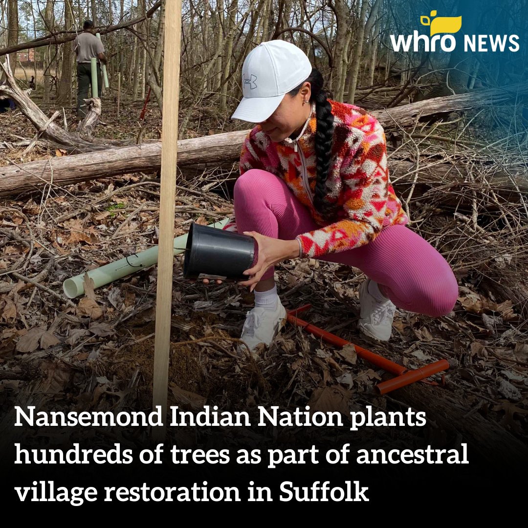 The Nansemond Indian Nation is restoring an 18-acre patch of land along the Nansemond River.

Read more here: tinyurl.com/425v5y2f