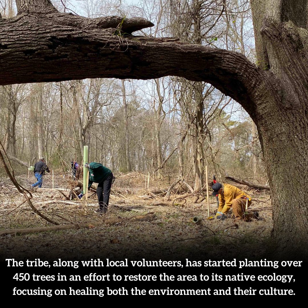 WHRO Public Media (@whro) on Twitter photo 