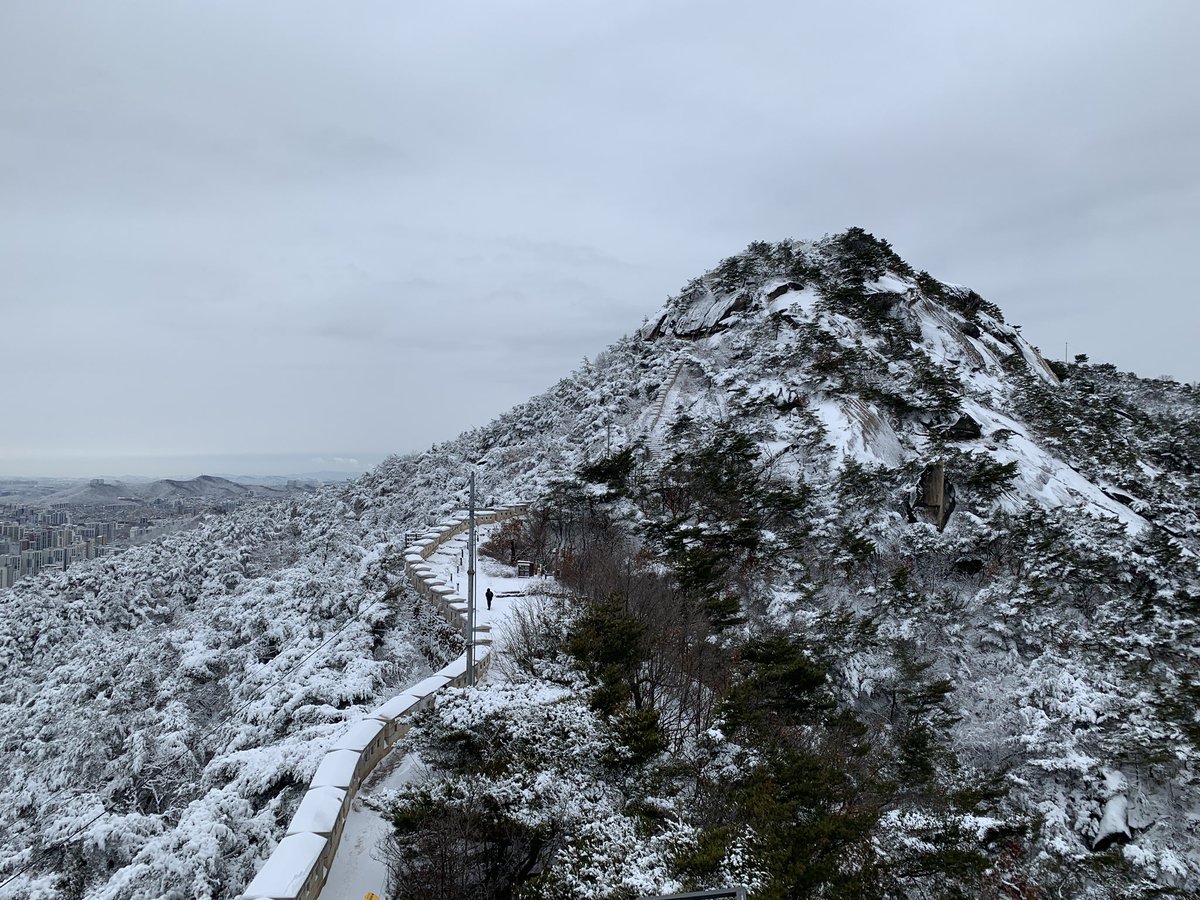 Rigel Robinson tweet media