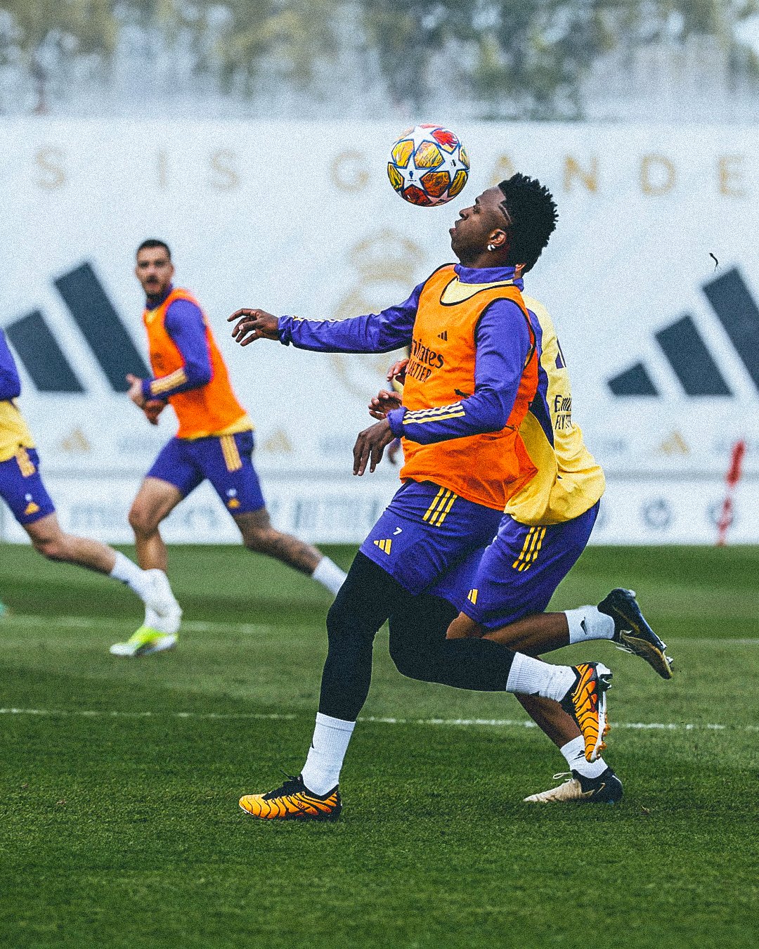 Foot Mercato on X: "Vini Jr a chaussé sa nouvelle paire cet après-midi lors de l'entraînement d'avant-match ! #RBLRMA #LeipzigRealMadrid https://t.co/EuiF4RxNFs" / X