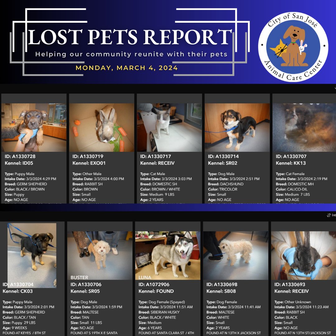 Did you lose your pet this weekend? Have you checked our searchable list of pets under the 'stray wait' status?

Hit the #lostpets tab in our #linkinbio and start searching. Strays are only held for 3 days before they are released for adoption. 

#lostpetsbayarea #PleaseShare