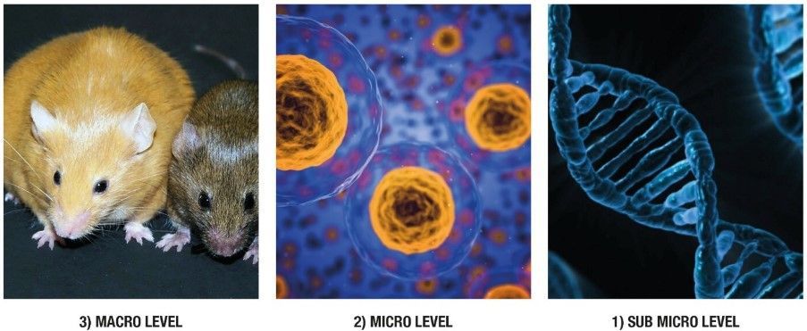 Thinking about drug action at the molecular and macro levels and switching between them is hard! This paper looks at a similar problem in epigenetics. visual representations of epigenetics at different levels of biological organisation. Thybery et al buff.ly/3VkXd87