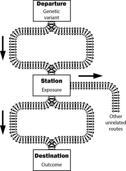 AZoLifeSciences's tweet image. Grasping the Concept of Mendelian Randomization azolifesciences.com/news/20240304/… #mendelian #randomization #medelianrandomization