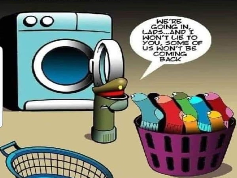 VaughnLerouxDLC's tweet photo. Do the single ones have more socks appeal? https://t.co/q7CgtILb3q