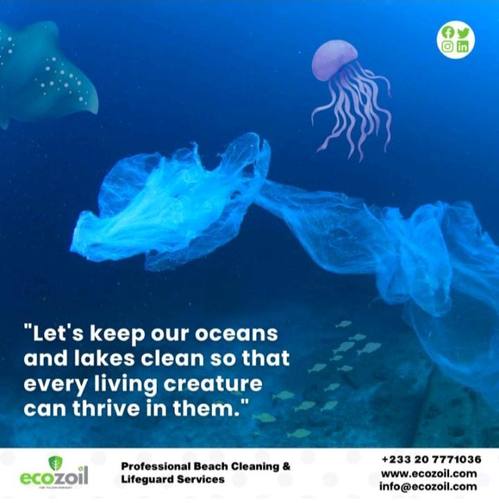 🌊 Let's join hands to protect our precious oceans and the magnificent creatures that call it home! 🐋 Together, we can make a difference. 💙 #ProtectTheOcean #MarineConservation #SaveMarineLife #Ecozoil #SustainableLiving 
#ecozoilfortheenvironment