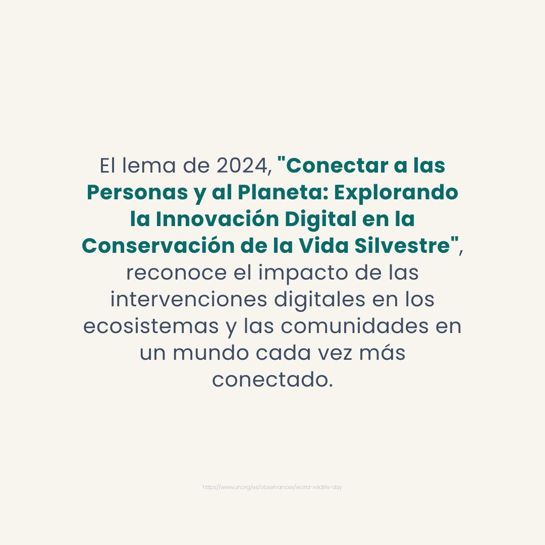 ProSserac's tweet photo. https://t.co/rv2XXuvk2X
