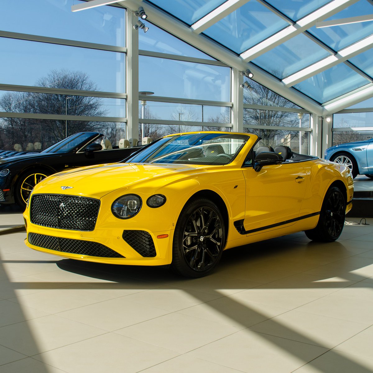 MAGCARS tweet media