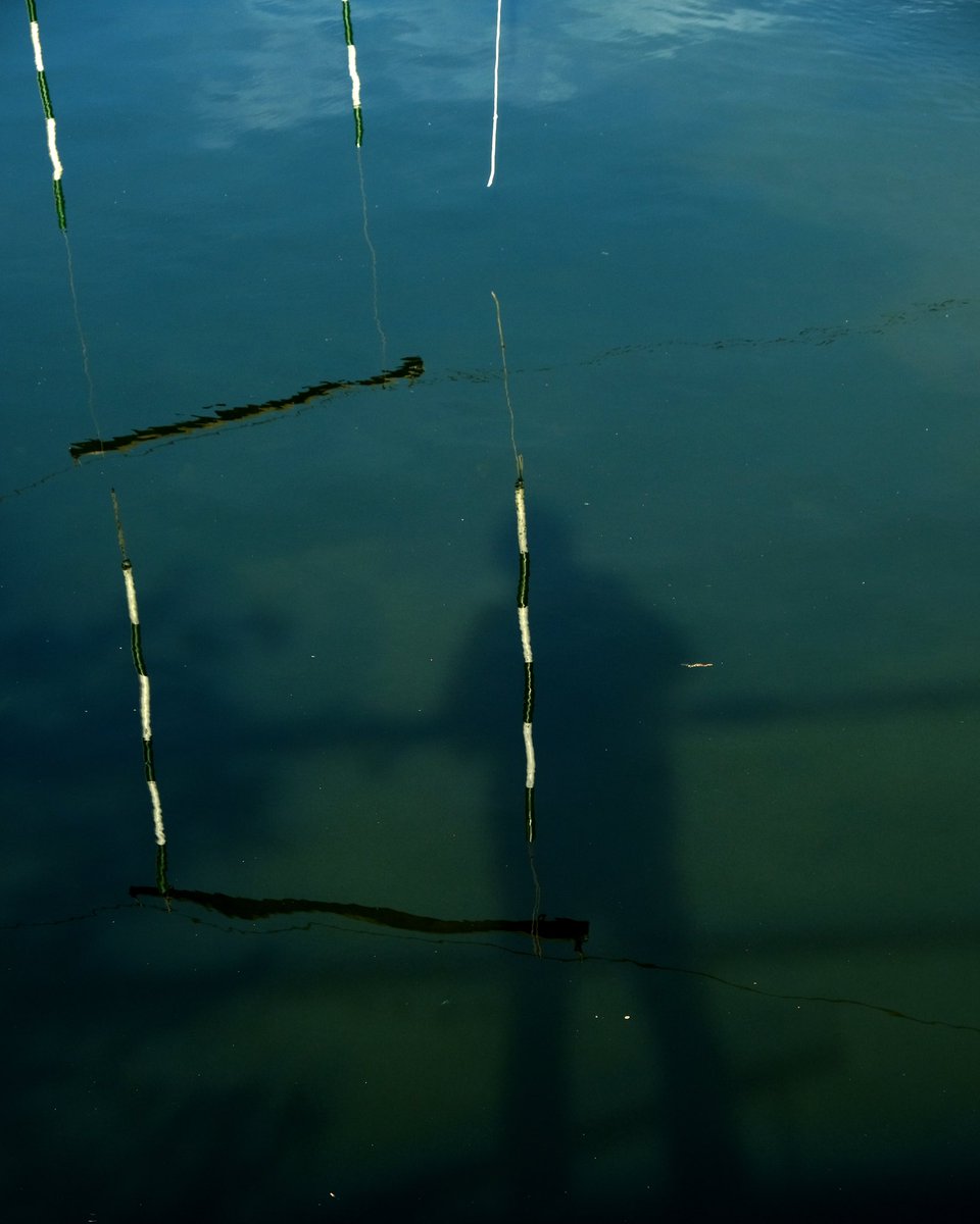 sketches by the canal