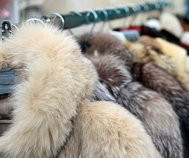 StatenFurrier's tweet photo. Proper care and maintenance can significantly extend the life of your fur coat. Our on-site cleaning and glazing services can help keep your fur looking brand new for years to come. #furcare #StatenIslandFurrier https://t.co/GGFclnjI8L