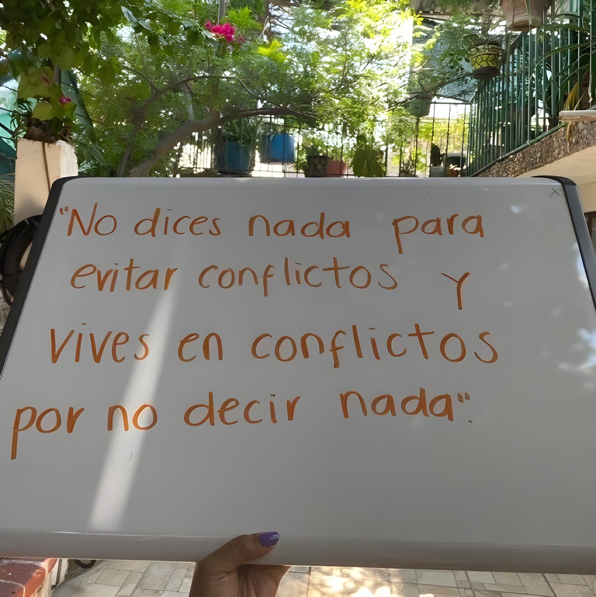 Tweets_Col's tweet image. 