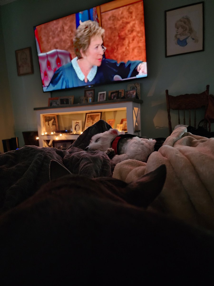 olivernoodle's tweet image. #judgejudy time