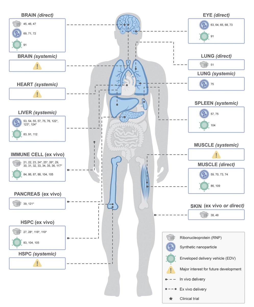 How genome editing can be more efficacious and accessible in the future. Delivery of editors without virus vectors. pnas.org/doi/10.1073/pn… @PNASNews @doudna_lab @connortsuchida @UCBerkeley