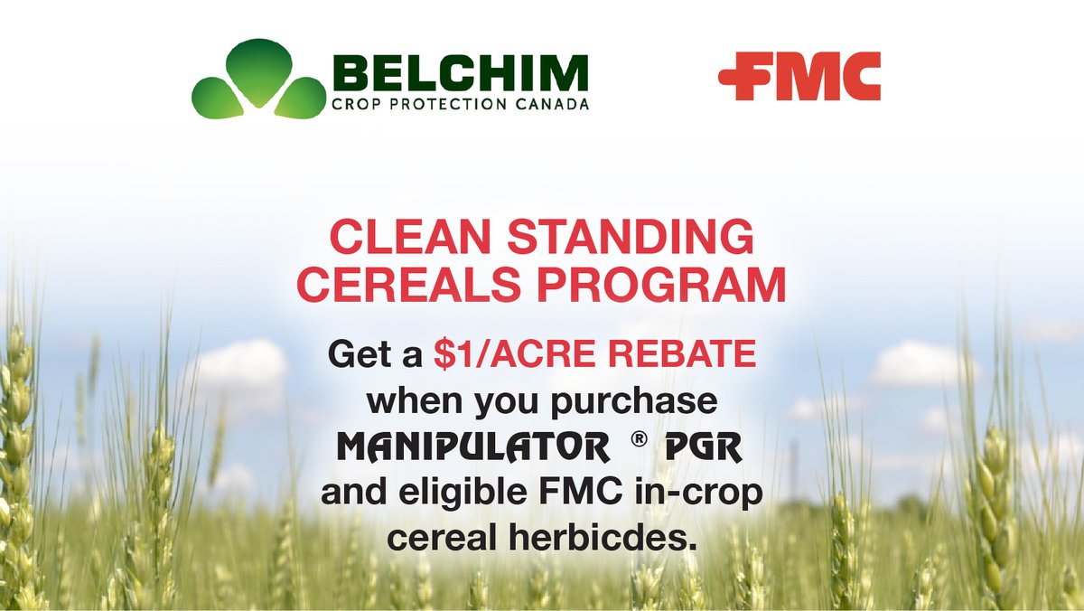 Control your toughest weeds. Keep your crop standing. Reap the rewards of an easier harvest and help maximize yield potential. Learn how the Clean Standing Cereals program can help boost performance and your bottom line in high value cereal crops: bit.ly/47Lg2Uo #CdnAg