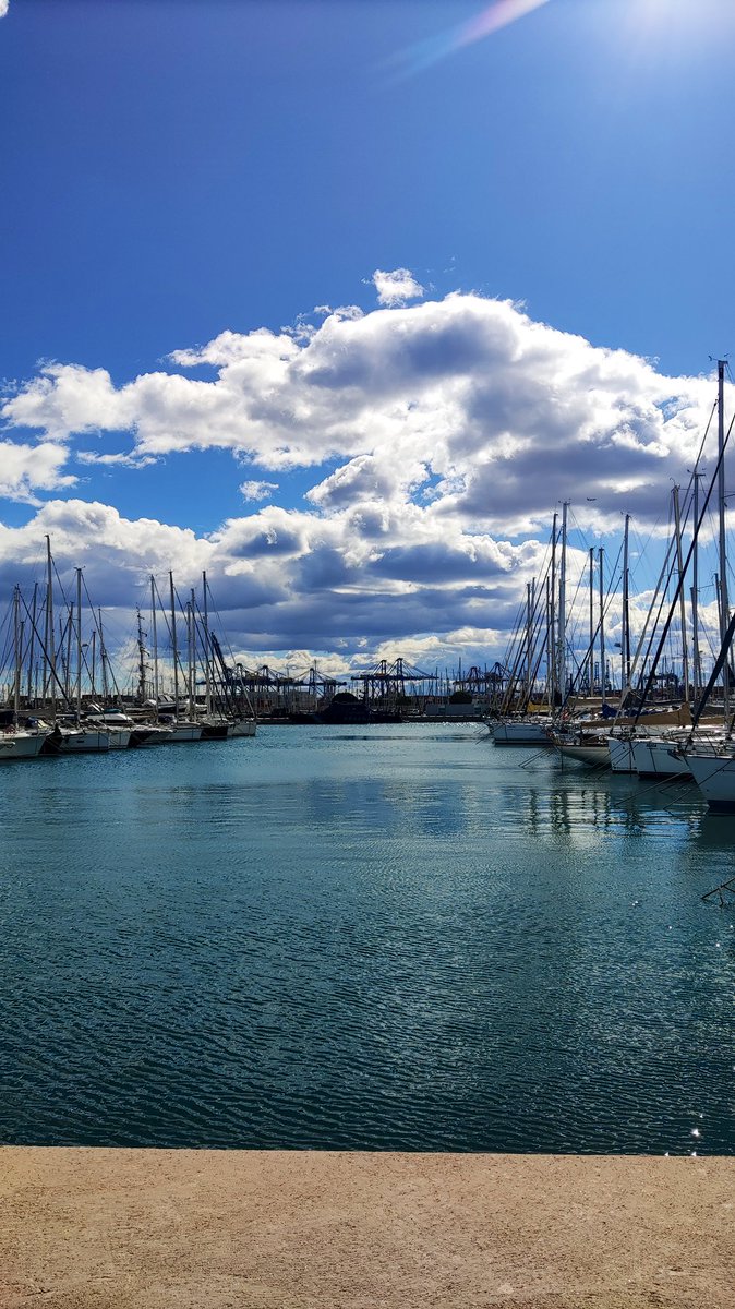 La Marina de Valencia🐠🩵
#lamarinadevalencia
#lamarina #valencia