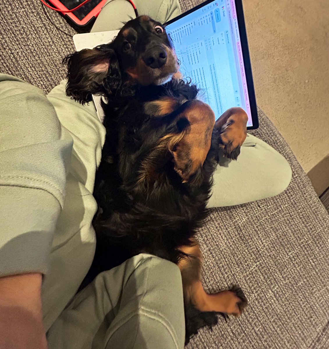BianchaMullen's tweet photo. Bit late for work is it not https://t.co/lQadQKey3o